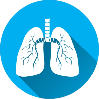 Asthma inhaler price in india
